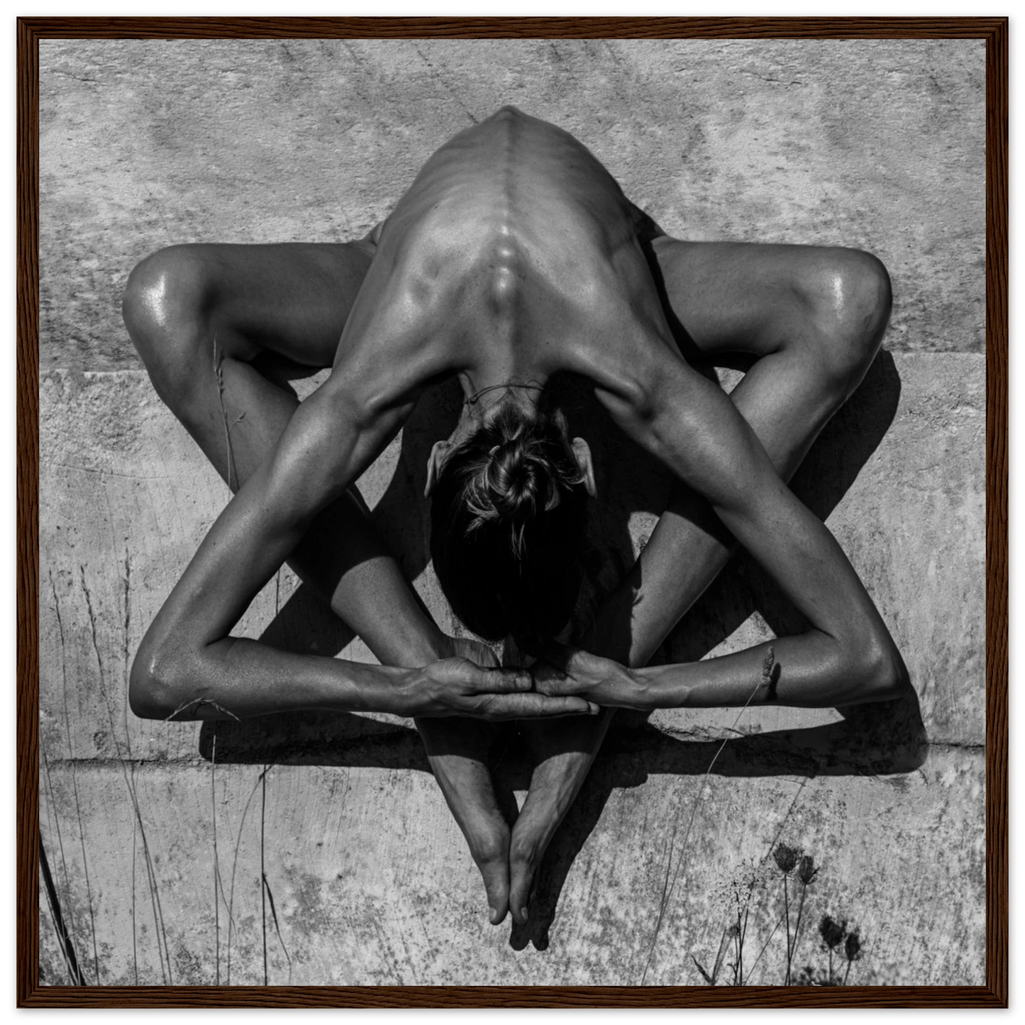 ff05b0df-ede1-44c8-8012-eeff2d1f6ee3