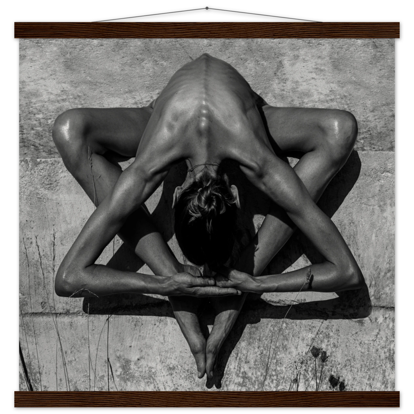 ff326bbc-386d-439b-a111-06686a03bc19