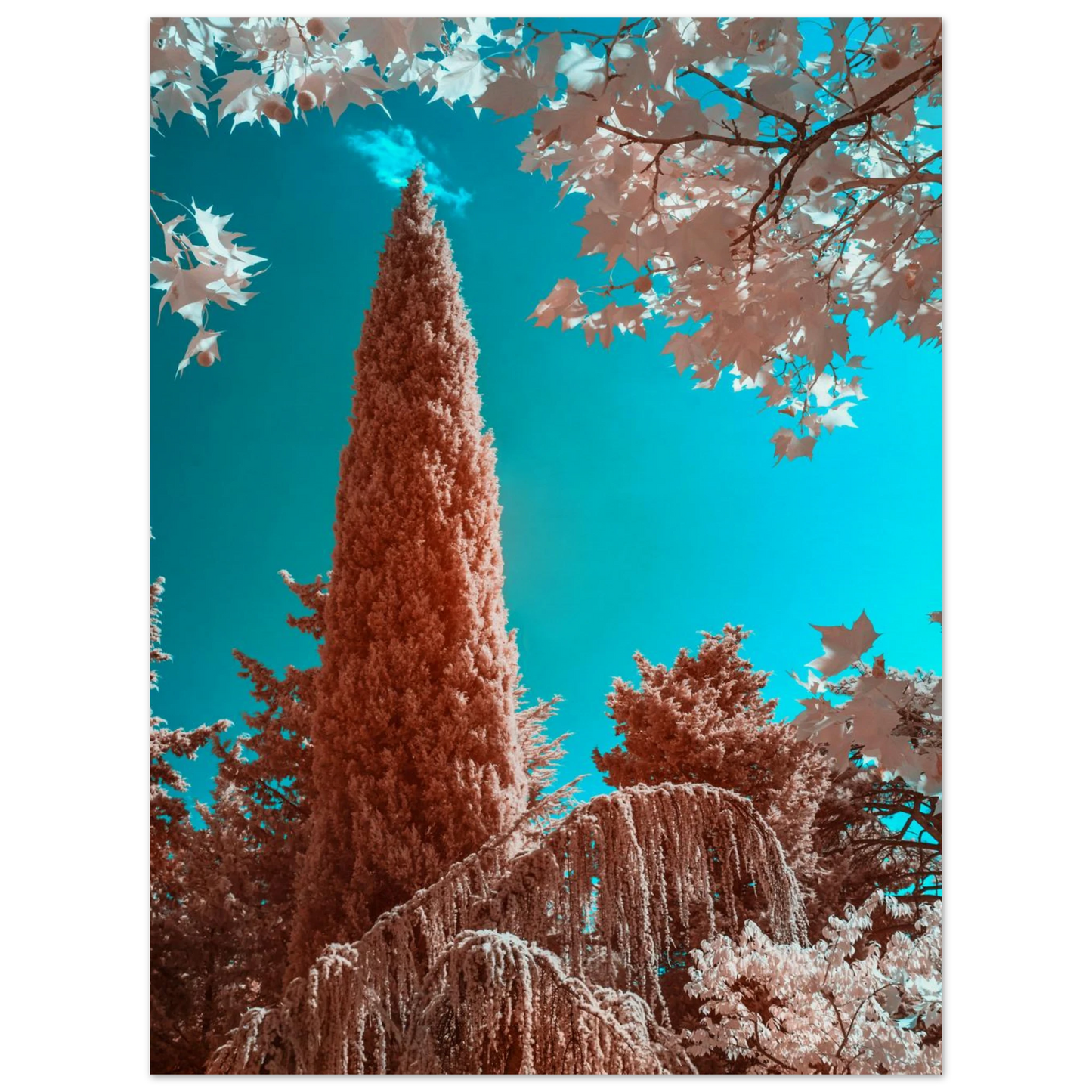 ff41fda4-efc0-430e-b07a-199b06d52772